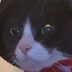 Meet your Posher, Catherine